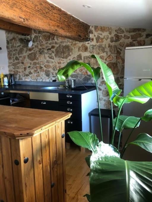 Le Loft Cosy - Centre Ville - Cadre Royal Sète Zewnętrze zdjęcie