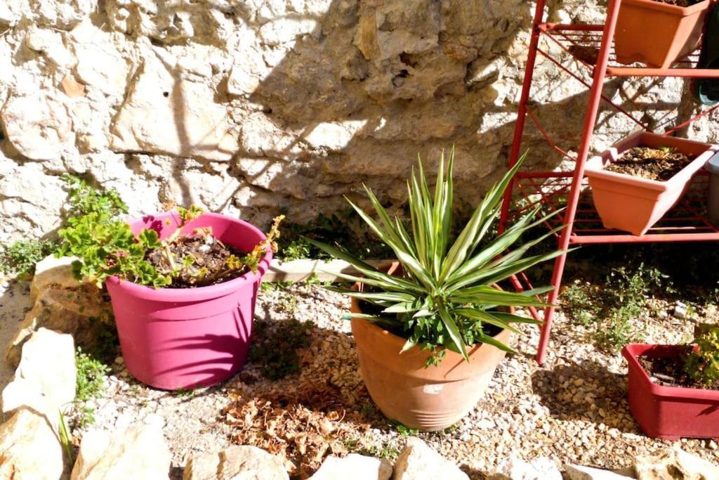 Le Loft Cosy - Centre Ville - Cadre Royal Sète Zewnętrze zdjęcie